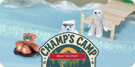 Champ's Camp Episode 3: A Perfect Day on Lake Champlain