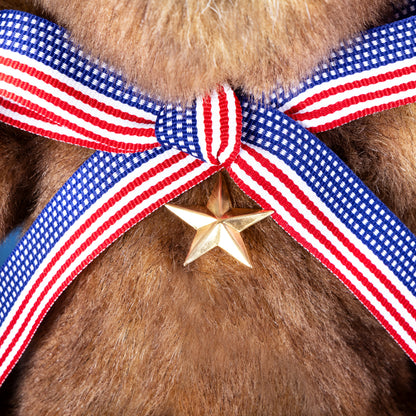 13 In. Limited Edition All-American Teddy Bear™