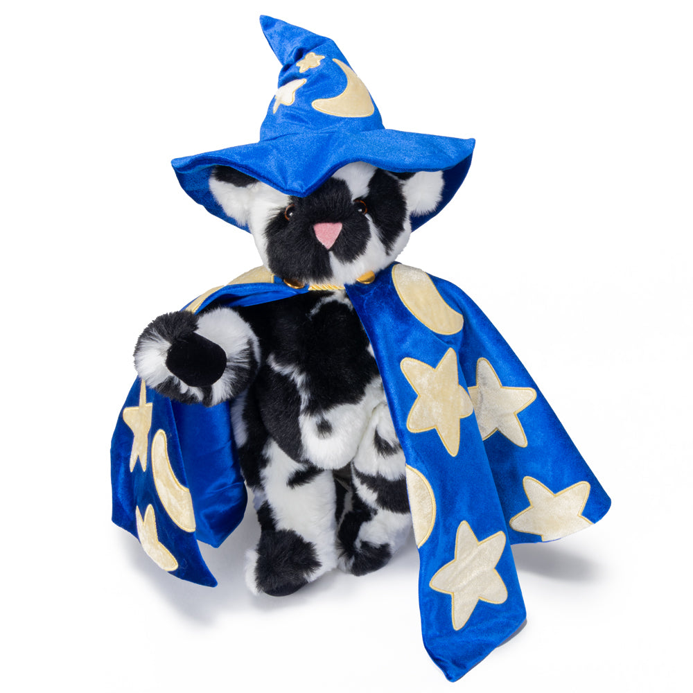 15 In. Wizard Teddy Bear