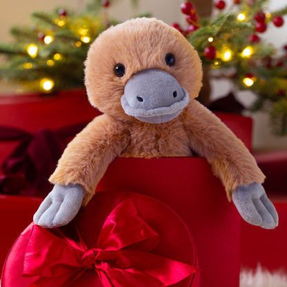 15 In. Buddy Platypus