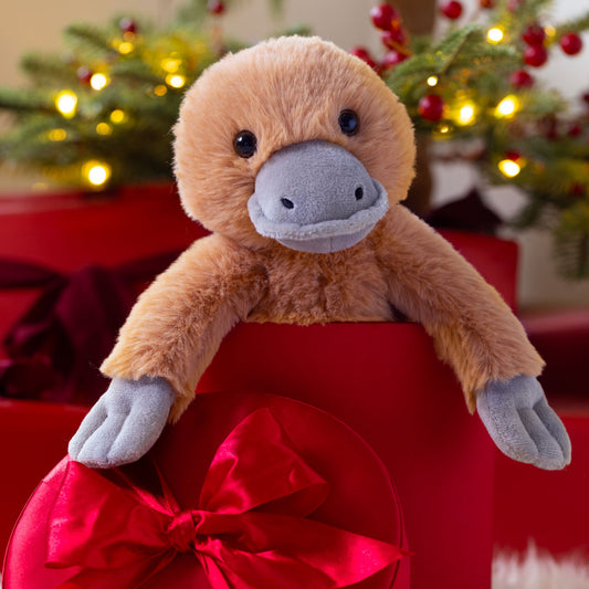 15 In. Buddy Platypus