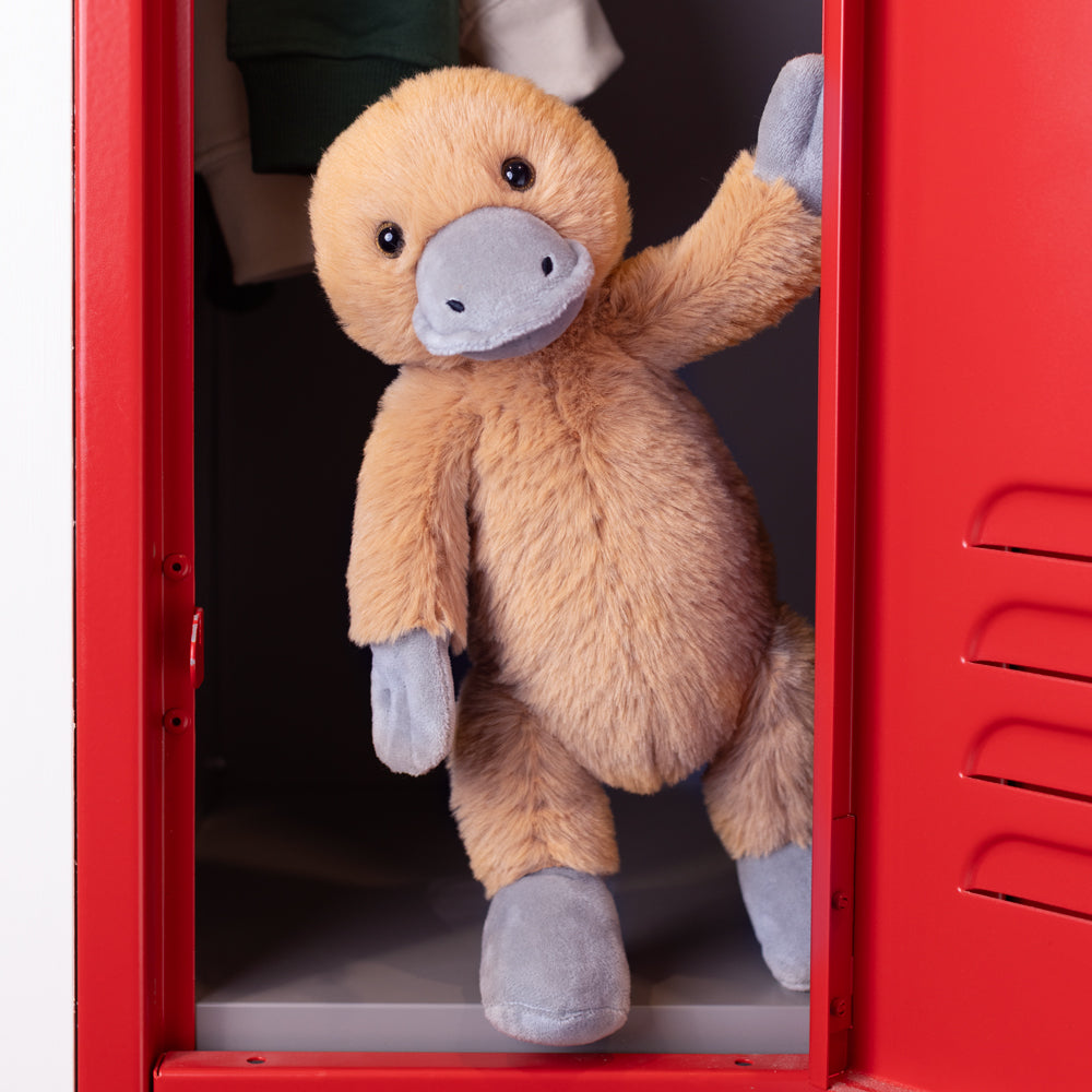 15 In. Buddy Platypus