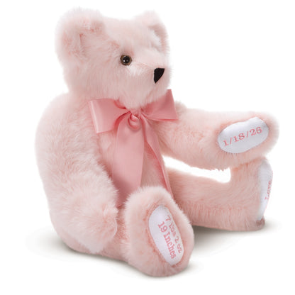 15 In. Premium Baby Girl Bear
