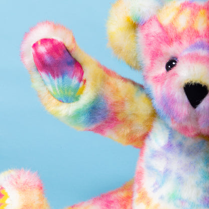 15 In. Special Edition Groovy Hugs Bear