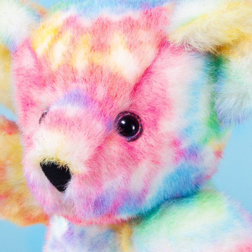 15 In. Special Edition Groovy Hugs Bear