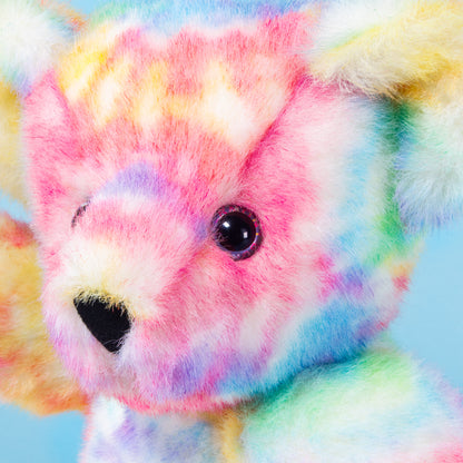 15 In. Special Edition Groovy Hugs Bear