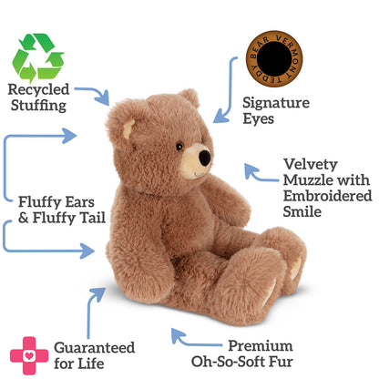 Brown teddy bear with features on a white background