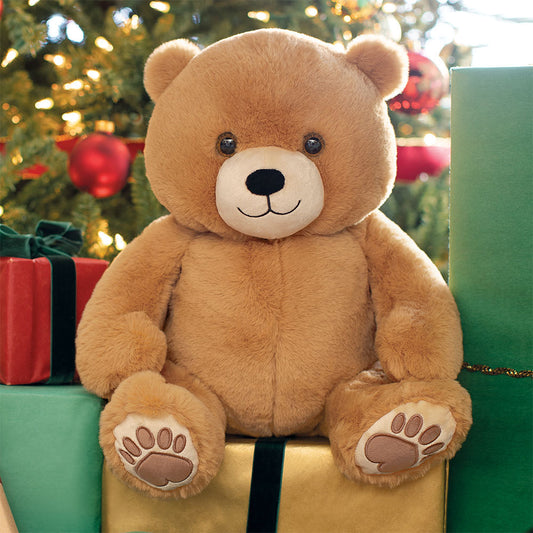 20 In. Hugsy the Teddy Bear