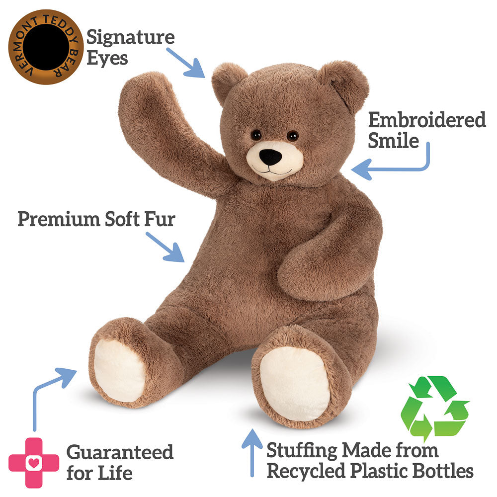Brown stuffed teddy bear with features labeled on a white background