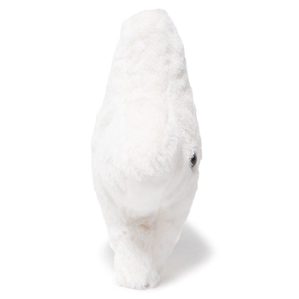 6 In. Buddy Star, free with a purchase of $25 or more