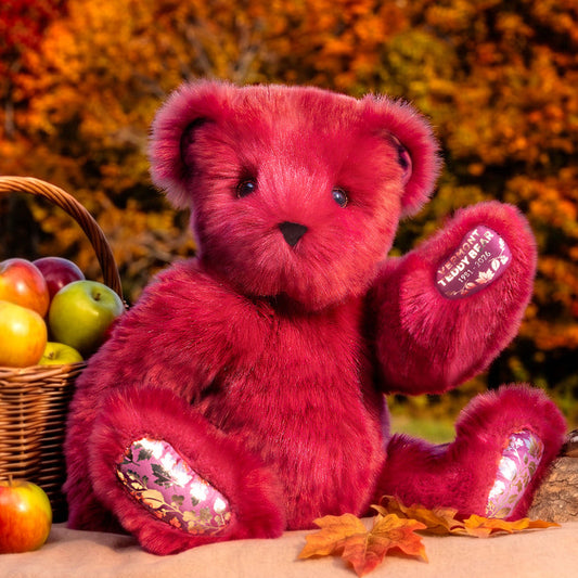 45th Anniversary Autumn Harvest Bear, 20 In.