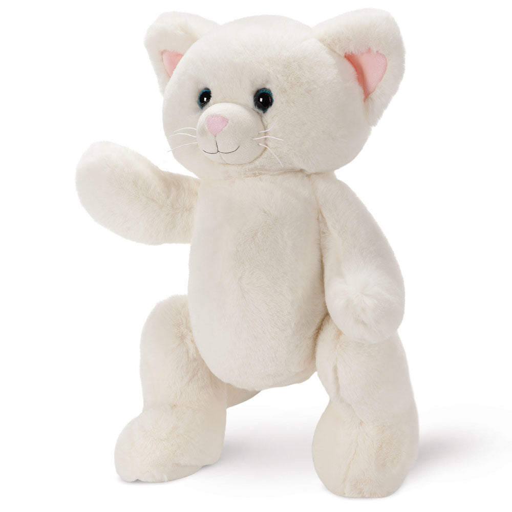 Kitten teddy online