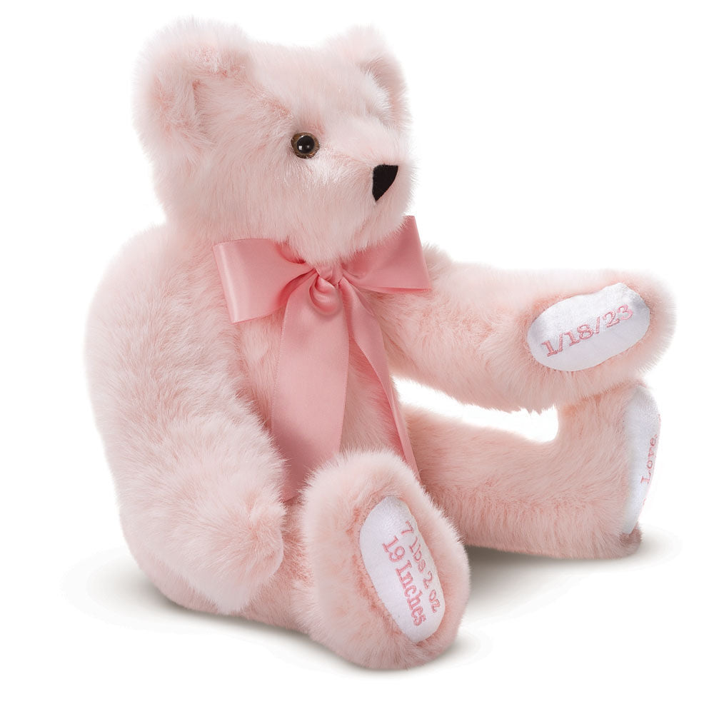 15 In. Premium Baby Girl Bear, Pink